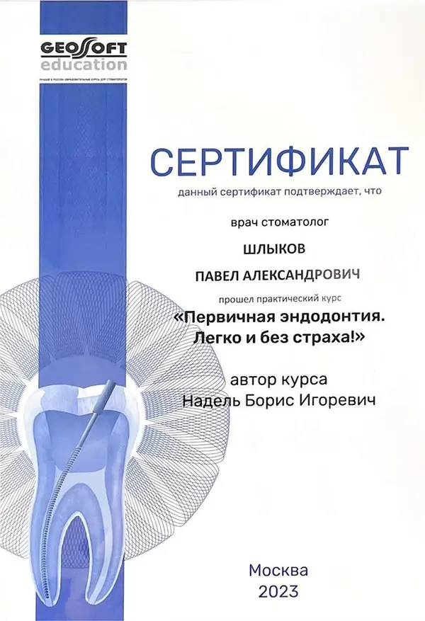 Сертификат — Шлыков Павел Александрович
