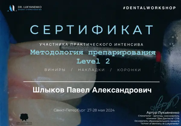 Сертификат — Шлыков Павел Александрович